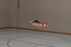 DSC_0273_gp41r709
