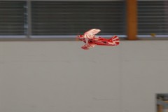 DSC_0461
