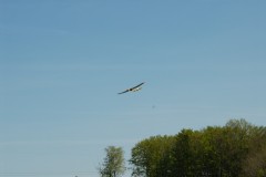 DSC_0015_530u5dx6