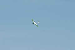 DSC_0029_j31j8830