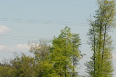 DSC_0035_j31j8830