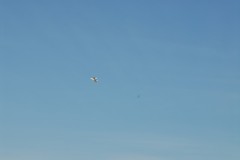 DSC_0040_1lf91583