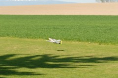 DSC_0093_2iof78q8
