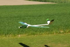 DSC_0118_aiqu1n01