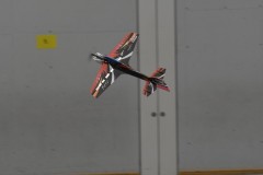 DSC_1983